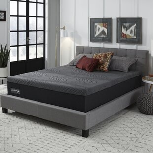 Beautyrest revo big online & tall